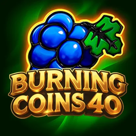 Burning Coins 40 | Vicibet Casino